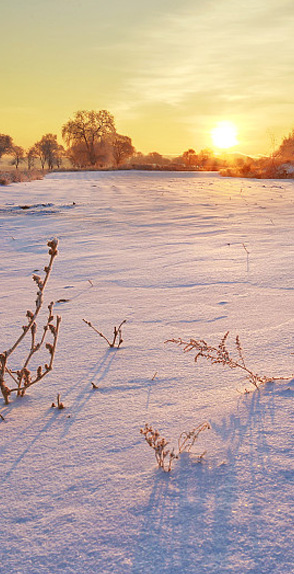 擁有達18個種類休閑配套